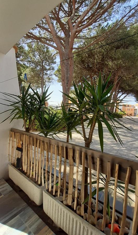 T2 cabine Les YUCCAS à 200 m de la plage Rive Droite Camargue Village idéal 4 pers Le Grau-du-Roi Exterior foto
