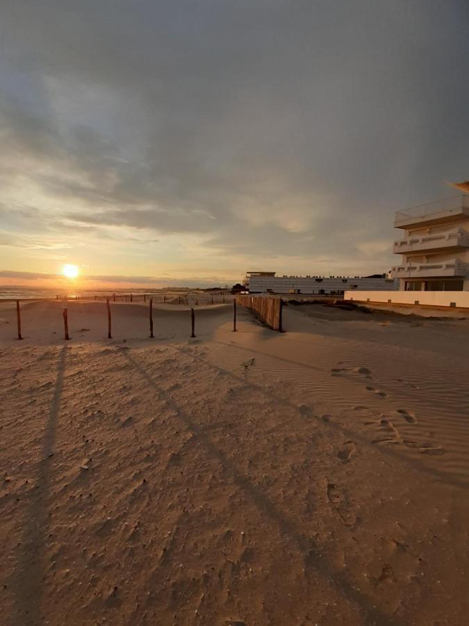 T2 cabine Les YUCCAS à 200 m de la plage Rive Droite Camargue Village idéal 4 pers Le Grau-du-Roi Exterior foto